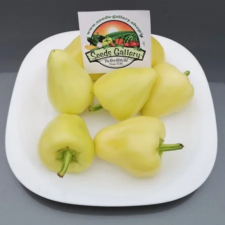 Somborka paprika Frön