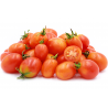Price: €1.65 - Seme Paradajza PRINCIPE BORGHESE - Seeds Gallery