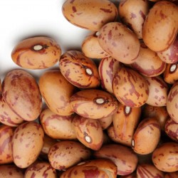 Price: €1.45 - Semillas de Frijoles Inka - 