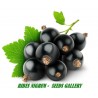Price: €1.95 - Blackcurrant Seeds (Ribes nigrum) - 