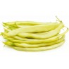 Price: €1.65 - Graines de haricots Odir - 