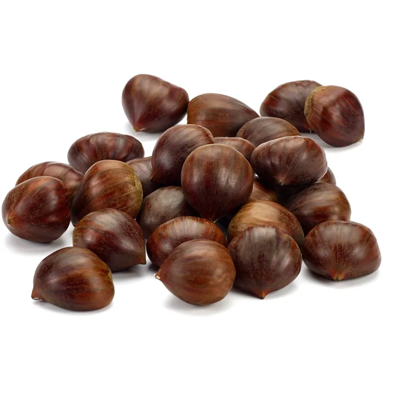Σπόροι Γλυκό κάστανο - Marron (Castanea sativa)