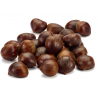 Price: €2.5 - Graines de Châtaignier (Castanea sativa) - 
