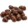 Σπόροι Γλυκό κάστανο - Marron (Castanea sativa)