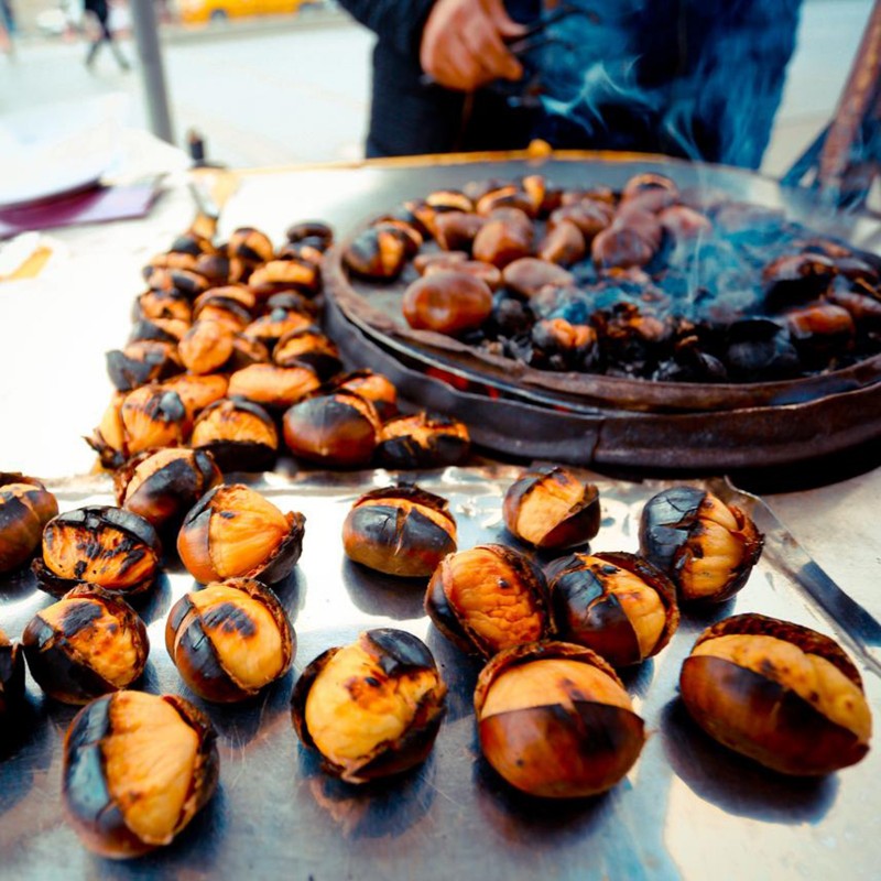 Price: €2.5 - Semi di Castagno europeo (Castanea sativa) - 