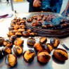 Price: €2.5 - Äkta kastanj Frön (Castanea sativa) - 