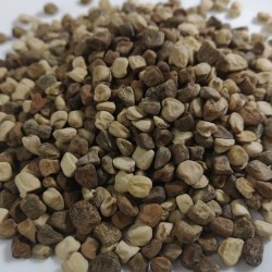 Price: €2.15 - Σπόρος Πολύχρωμα ΛΑΘΟΥΡΙ (Lathyrus sativus) - Seeds Gallery