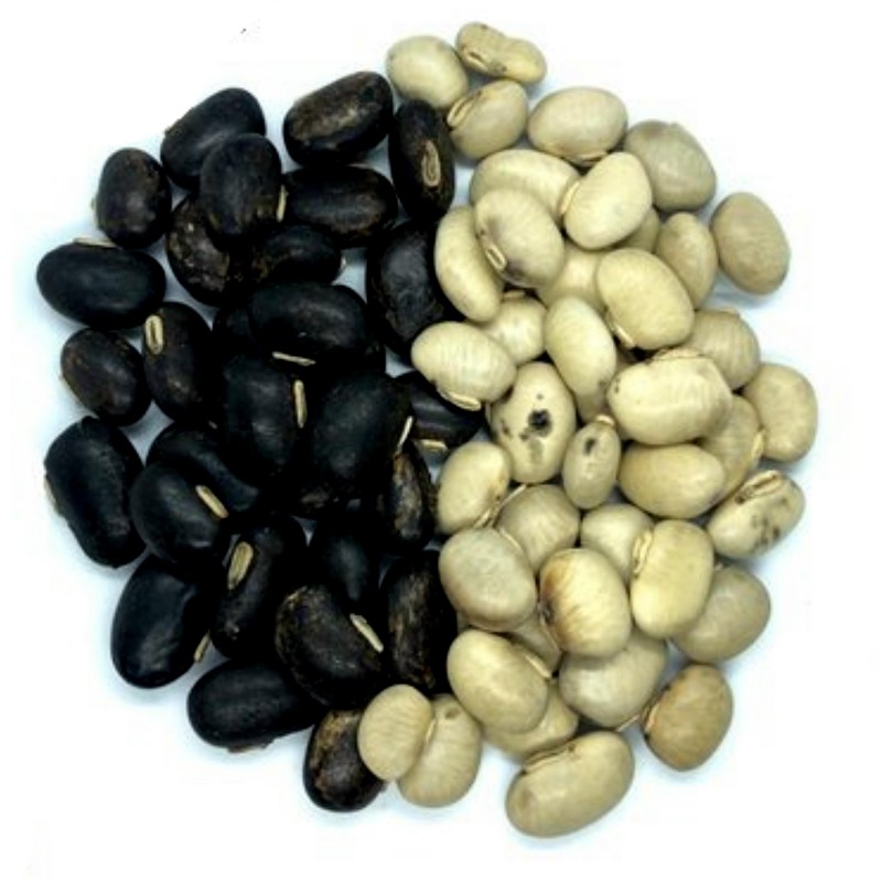 Price: €2.85 - Semena sametových bobů (Mucuna pruriens) - 