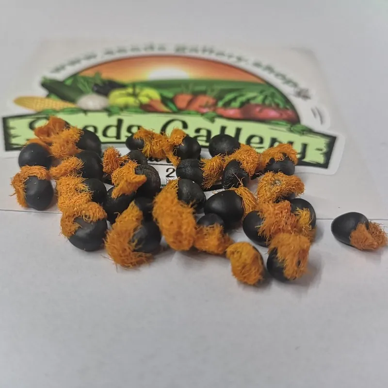 Magok Pompás papagájvirág (Strelitzia reginae)