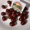 Crni Ceri Mini Kumato Paradajz Seme