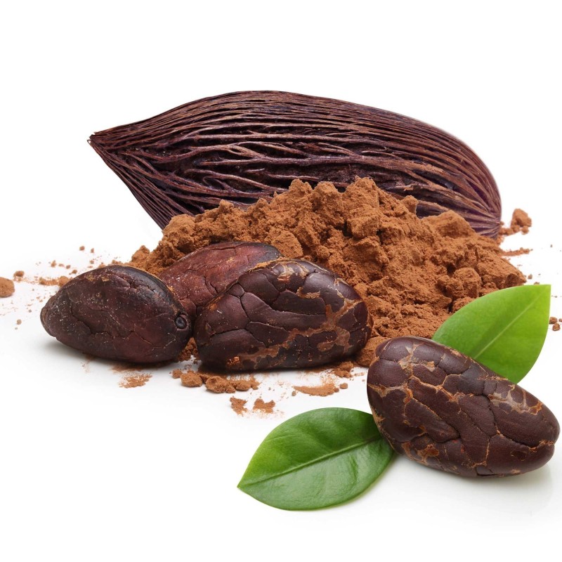 Semillas El árbol de cacao