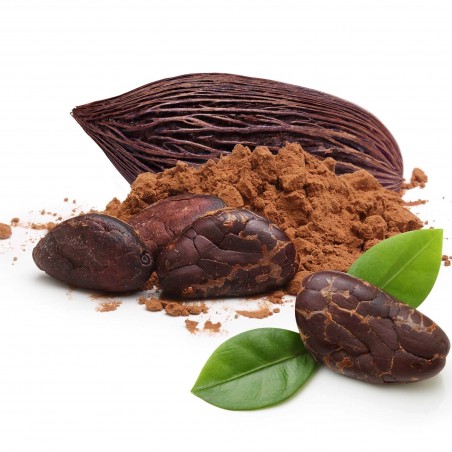 Graines de Cacaoyer - Cacao (Theobroma cacao) | 4,00 €