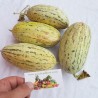 Price: €2.95 - Mirzachul, Gulabi, Torpedo Melon Seeds - Seeds Gallery