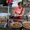 Price: €2.95 - Chinese Chestnut Seeds (Castanea mollissima) - 