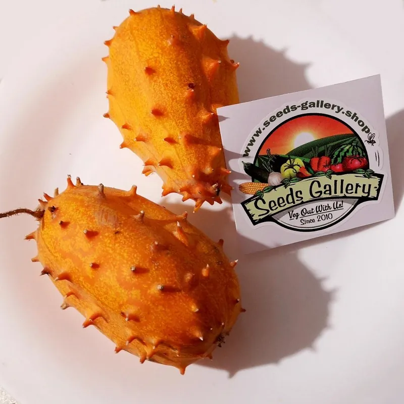 Sementes de pepino-africano, Kiwano (Cucumis metuliferus)