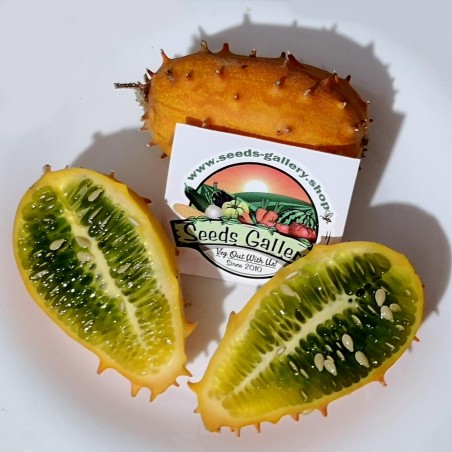 Price: €2 - Kiwano - Horngurka Frön (Cucumis metuliferus) - Seeds Gallery