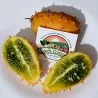 Sementes de pepino-africano, Kiwano (Cucumis metuliferus)