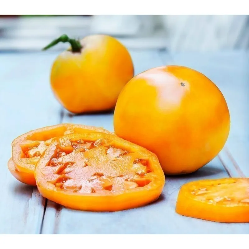 Golden Jubilee Tomaten Samen