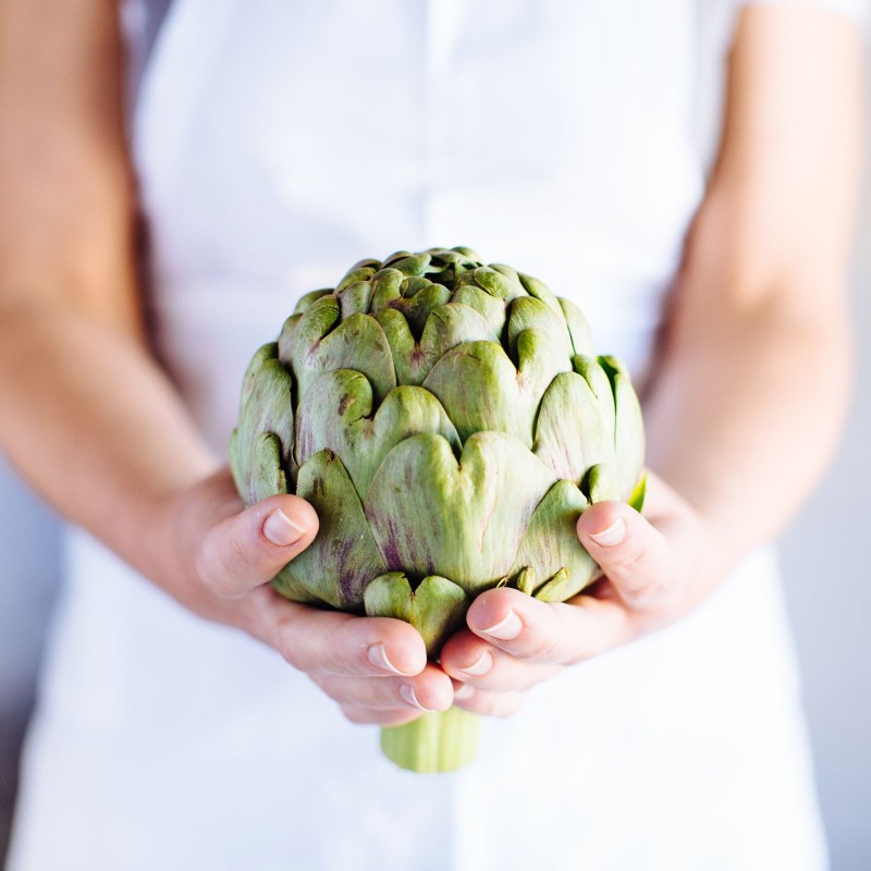 Sementes de alcachofra Green Globe