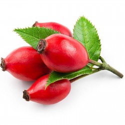Price: €2.15 - Sipurika - Sipak Seme (Rosa canina) - Seeds Gallery