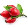 Rose Hip Seeds - Rose Haw - Rose Hep
