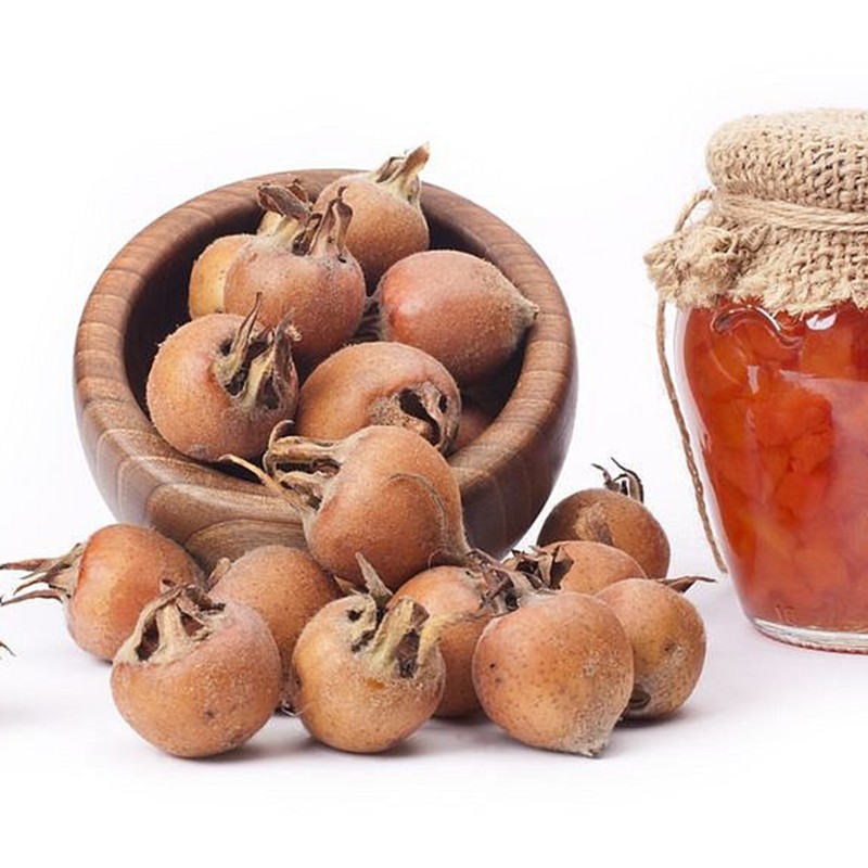 Mispel  frön Vinterhärdiga -30° C