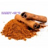 Zimt Samen – Kampferbaum (Cinnamomum camphora) | 4,95 €