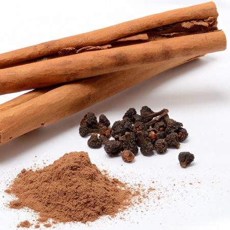 Kámforfa Magok (Cinnamomum camphora) | 4,95 €