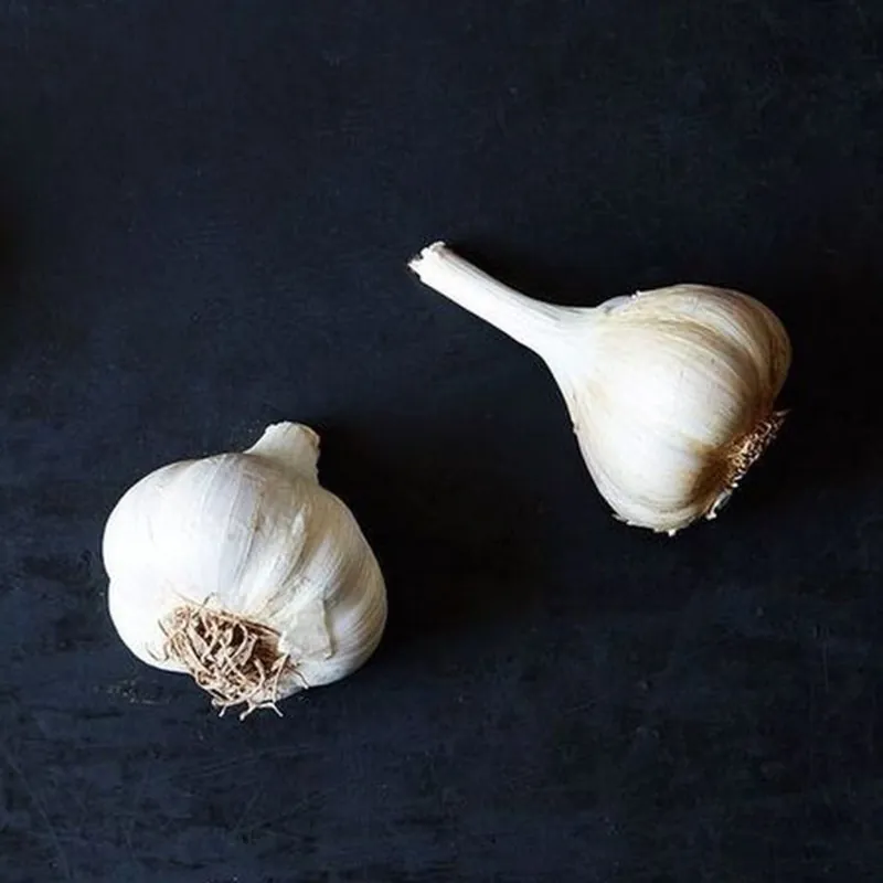 Bosnische Knoblauchzehen Bosanac