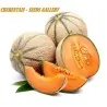 Semillas de melón Charentais