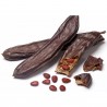 Price: €2 - Semillas de El Algarrobo (Ceratonia siliqua) - 