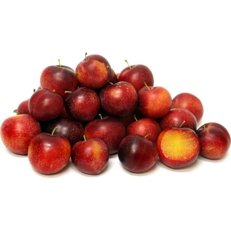 Semillas de Mirobolano (Prunus cerasifera)