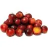Körsbärsplommon Frön (Prunus cerasifera)