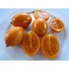 Semillas de Tamarillo Amarillo (Tamarillo Dorado)