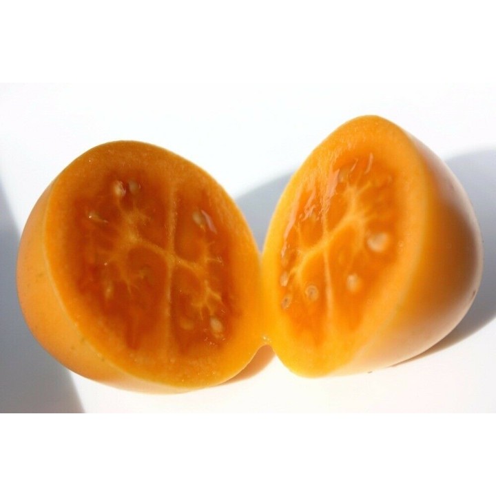 Nasiona żółty Tamarillo (Golden Tamarillo) - 2.55