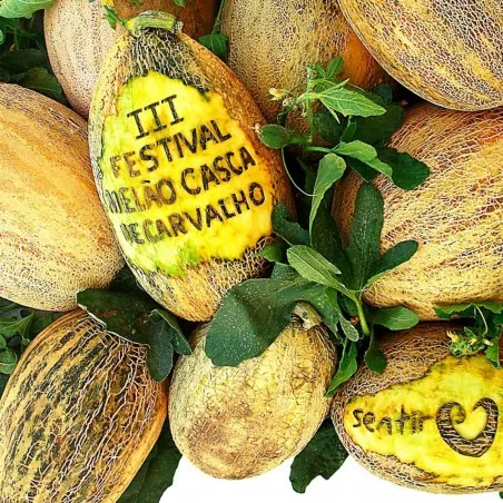 Price: €2.1 - Graines de Melon Casca de Carvalho - 