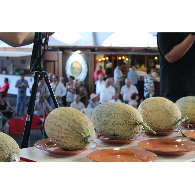 Price: €2.1 - Semi di melone Casca de Carvalho - 