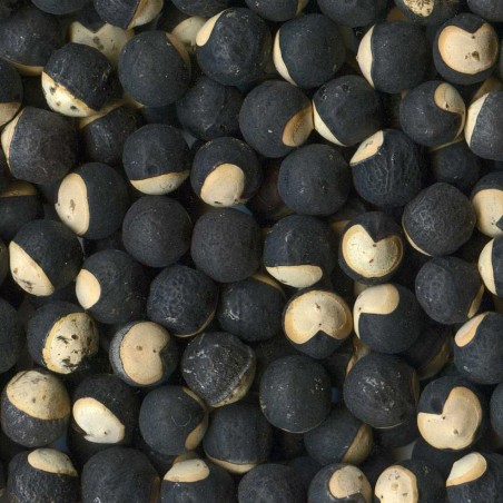 Price: €1.55 - Semințe Vita balon (Cardiospermum halicacabum) - 