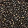 Semillas de Sorgo o Zahína (Sorghum bicolor)