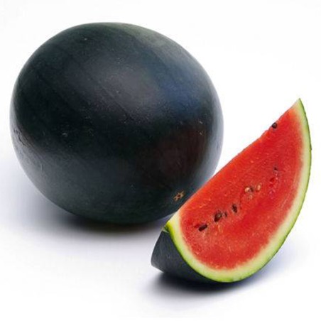 Eine quadratische Wassermelone ziehen