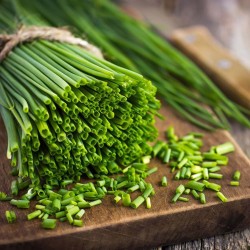 Price: €1.75 - Gräslök Frön (Allium Schoenoprasum) - 