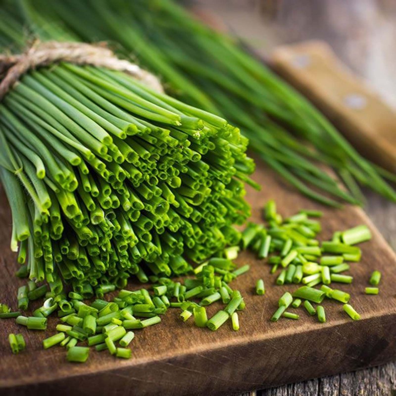 Gräslök Frön (Allium Schoenoprasum)