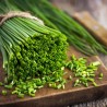 Price: €1.75 - Semi di 'Erba cipollina" (Allium Schoenoprasum) - 