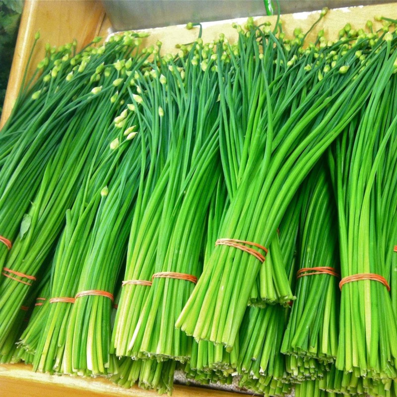 Gräslök Frön (Allium Schoenoprasum)