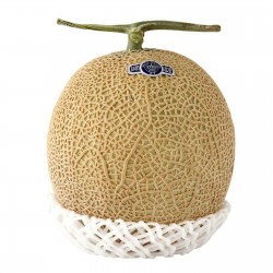 Price: €4.95 - Σπόροι Πεπόνι Shizuoka Crown - 