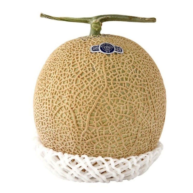 Shizuoka Crown Melonfrön