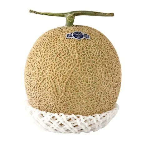 Shizuoka Crown Melon Seeds