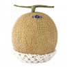 Price: €4.95 - Shizuoka Crown Meloen Zaden - 