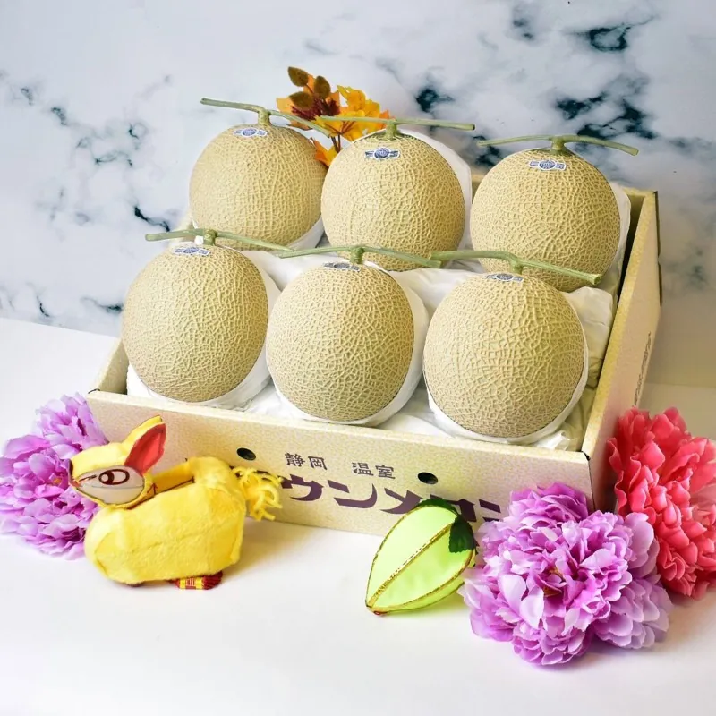 Shizuoka Crown Melon Seeds