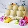Shizuoka Crown Melon Seeds